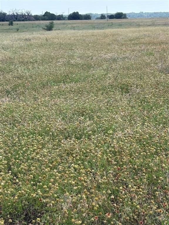 1.2 acres in Bosque County featured view