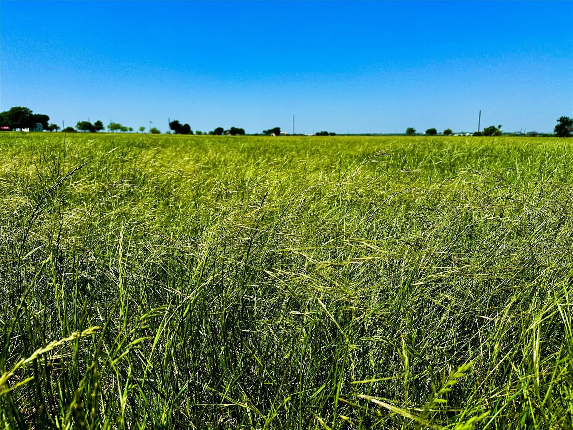 50 acres in Cooke County gallery image 3