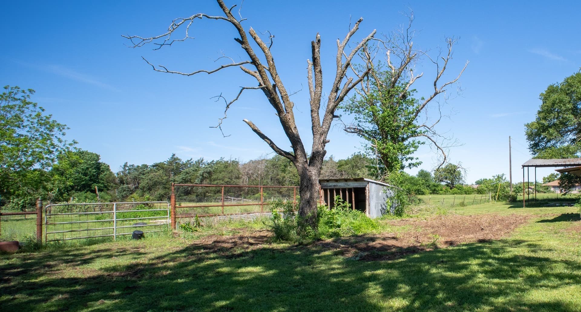 29.71 acres in Limestone County - photo 26
