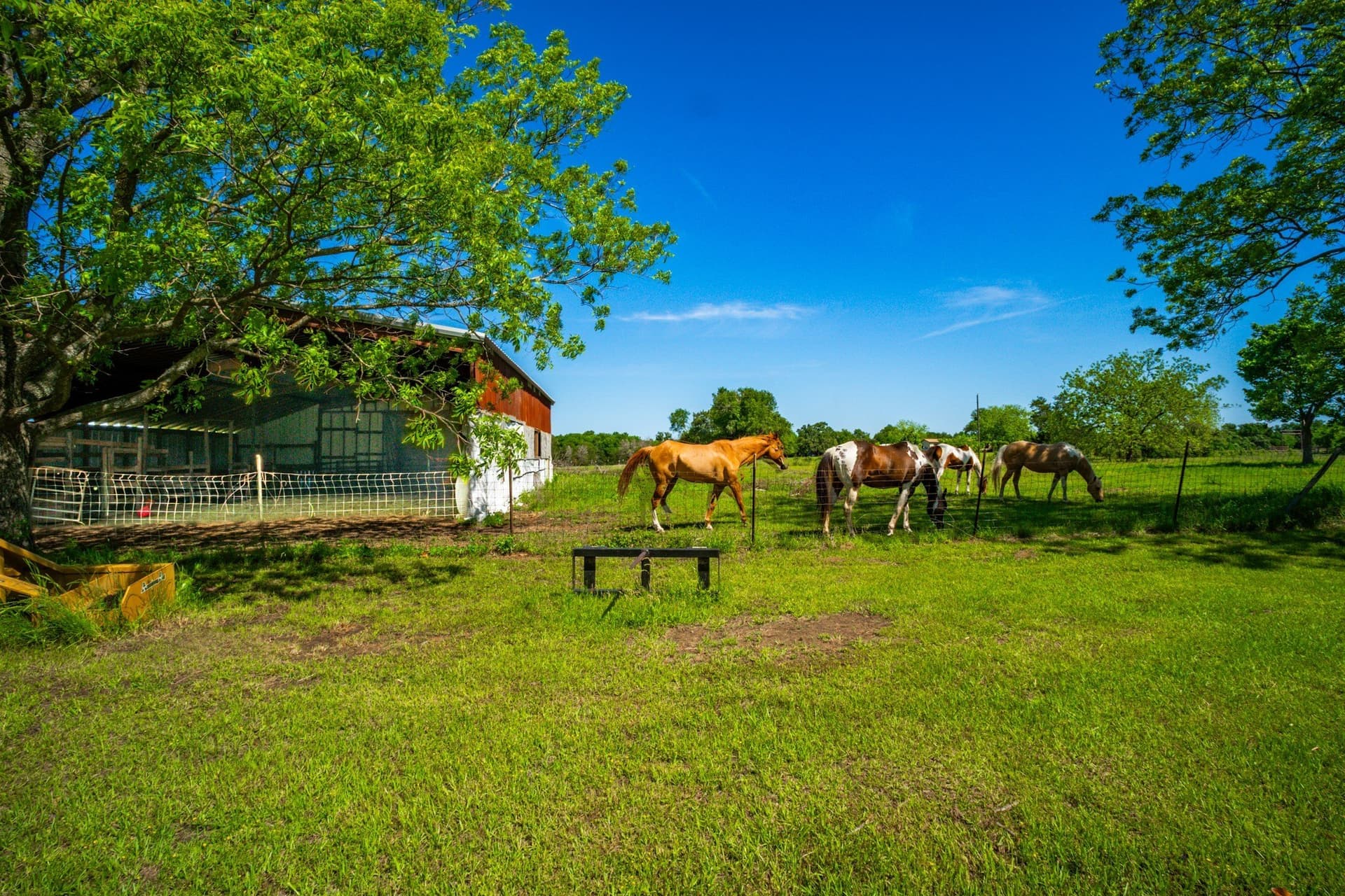 29.71 acres in Limestone County - photo 31