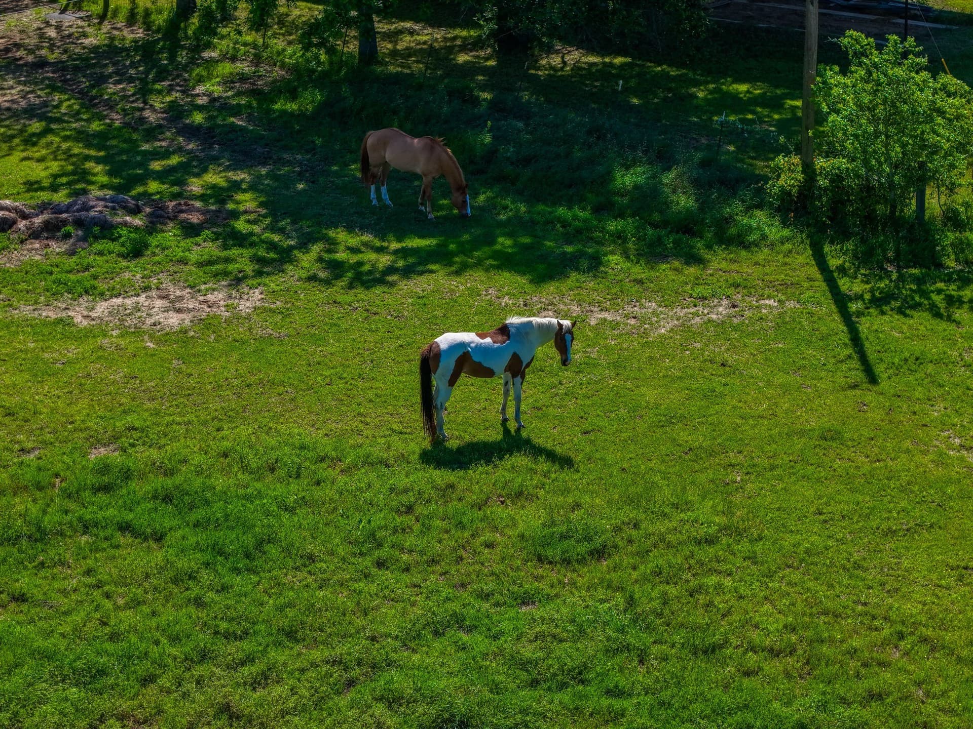 29.71 acres in Limestone County - photo 32