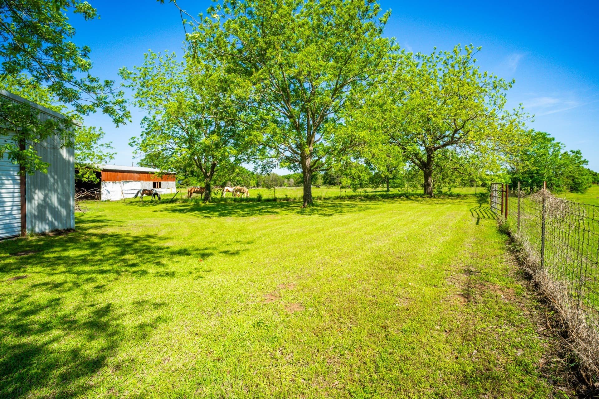29.71 acres in Limestone County - photo 30