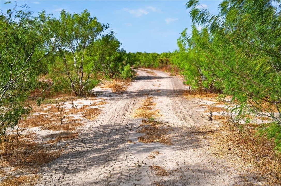 105 acres in Jim Wells County - photo 52