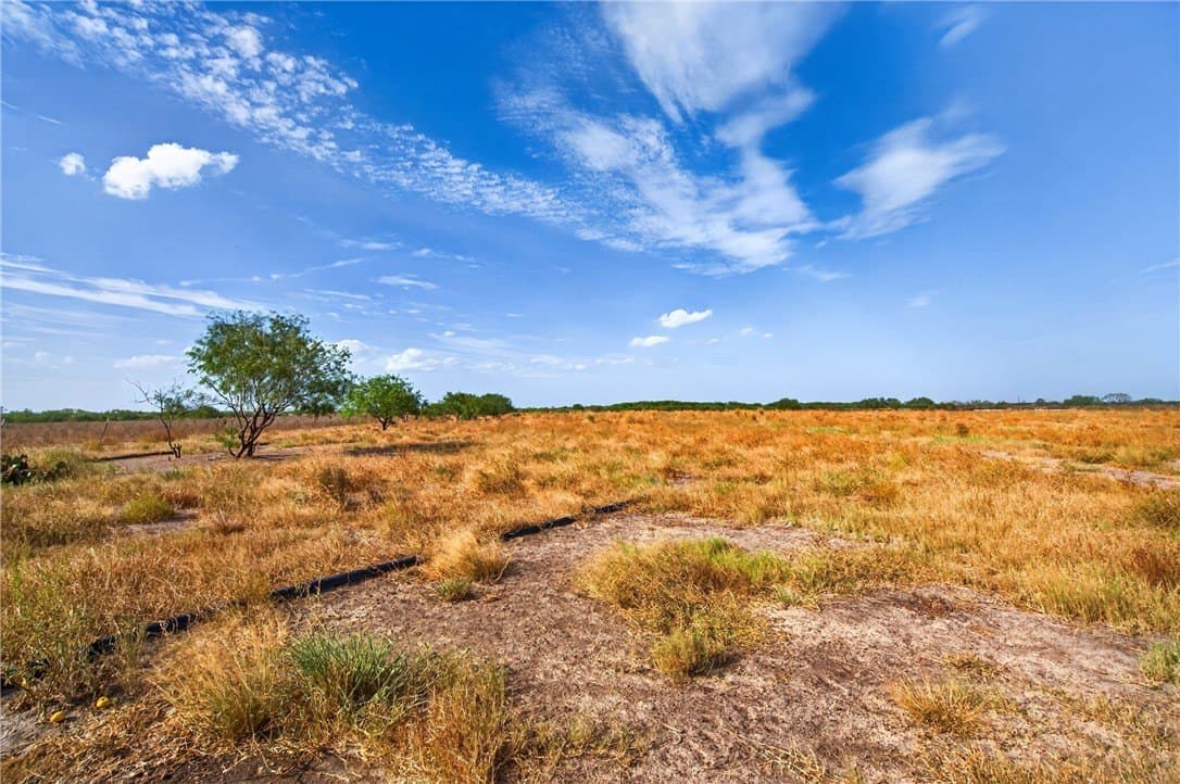 105 acres in Jim Wells County - photo 50
