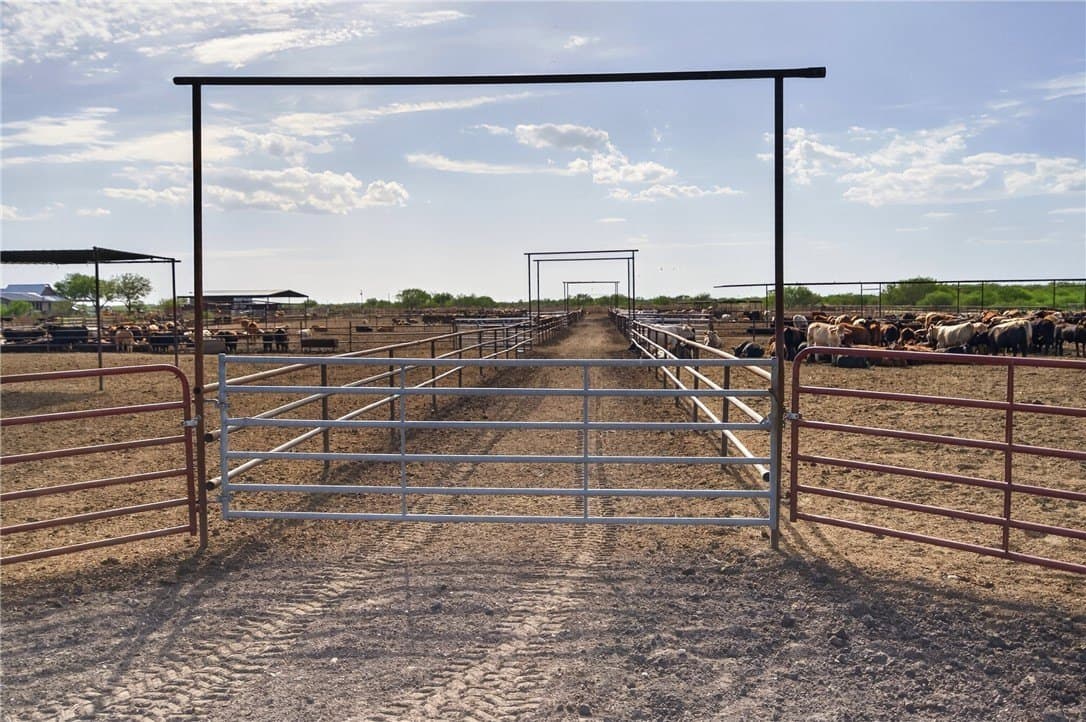 105 acres in Jim Wells County - photo 57