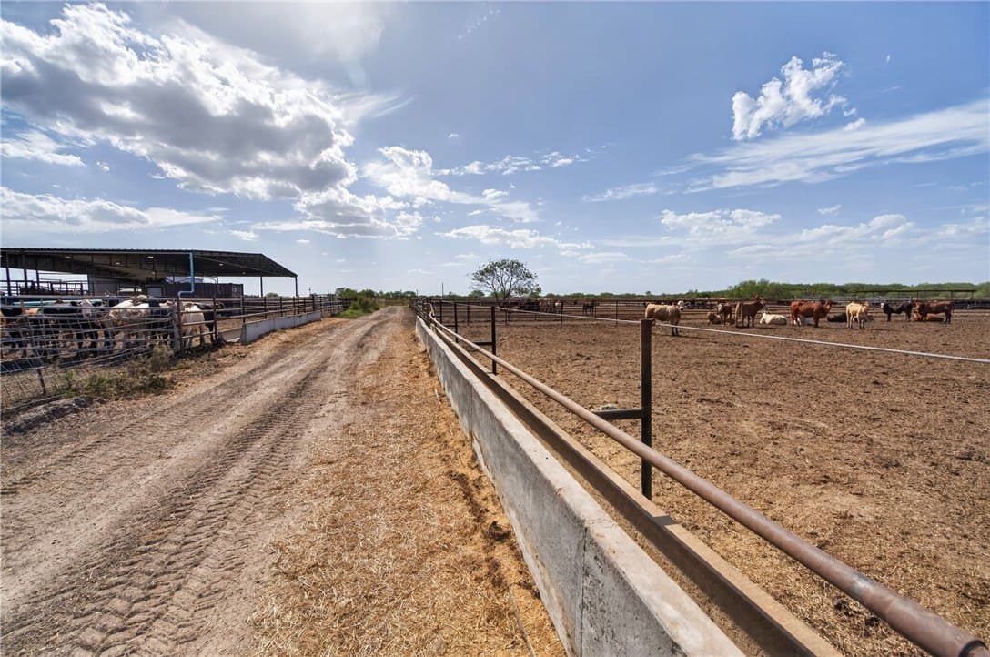 105 acres in Jim Wells County - photo 45