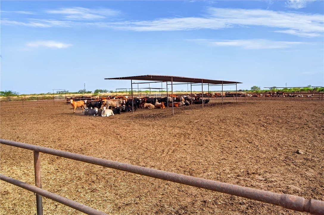 105 acres in Jim Wells County - photo 55