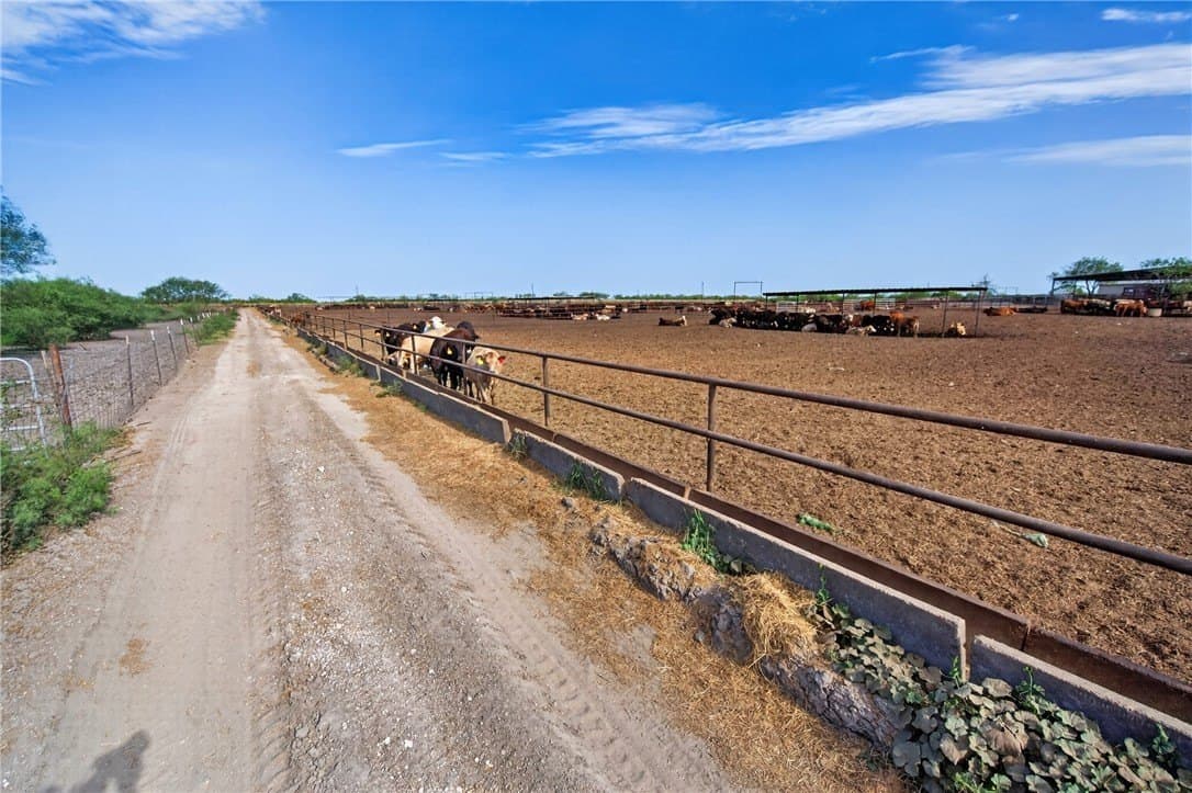 105 acres in Jim Wells County - photo 54
