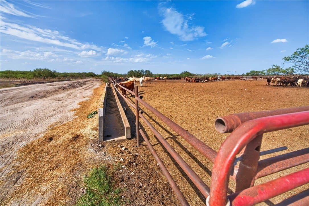 105 acres in Jim Wells County - photo 46