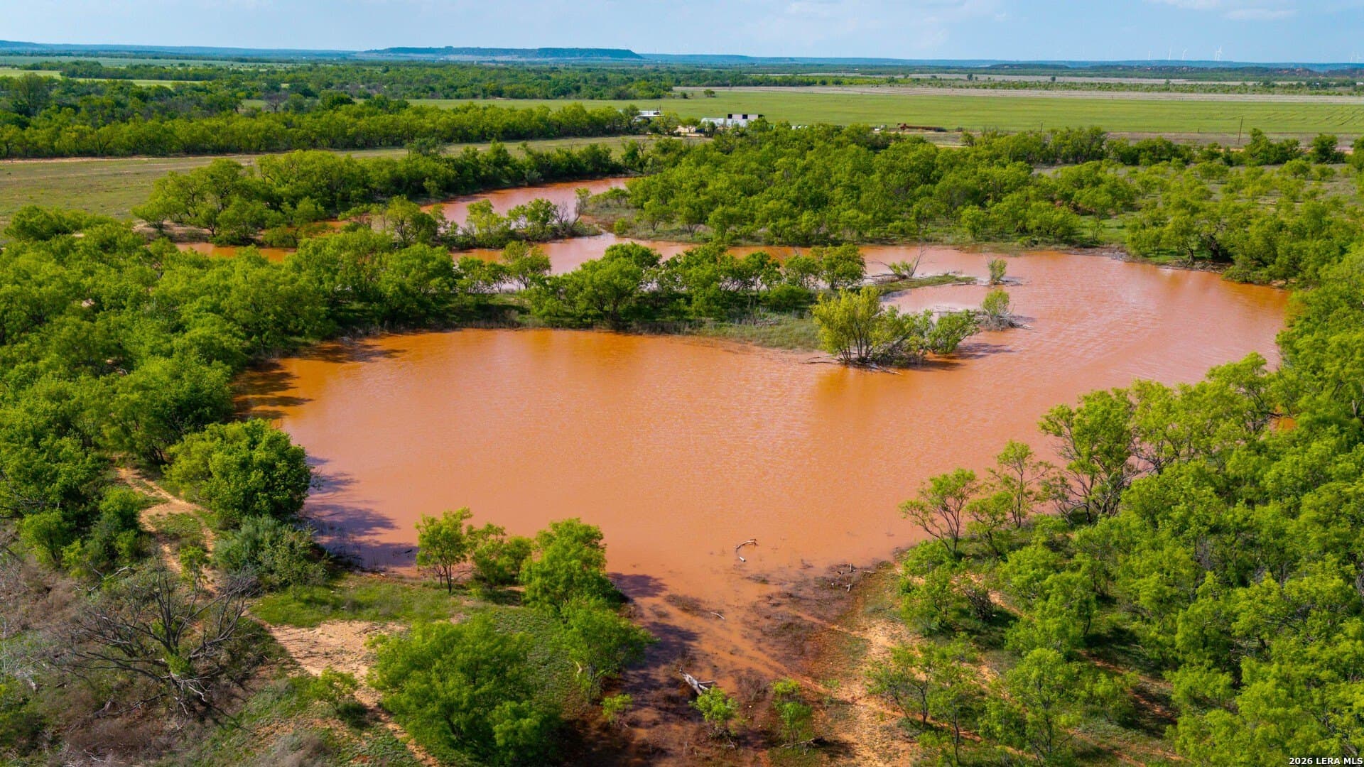 215 acres in Runnels County gallery image 2