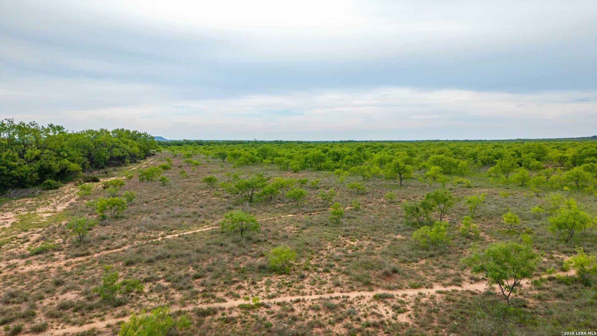 215 acres in Runnels County - photo 14