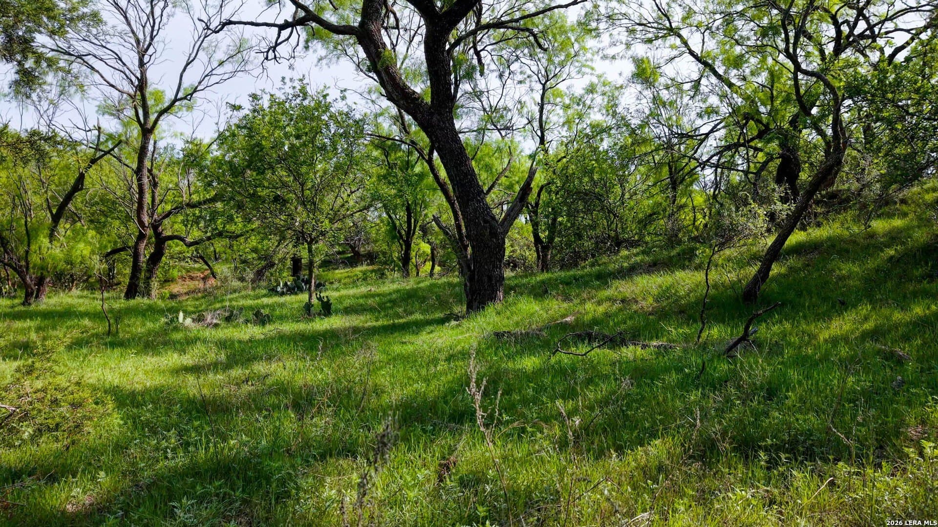 215 acres in Runnels County - photo 10