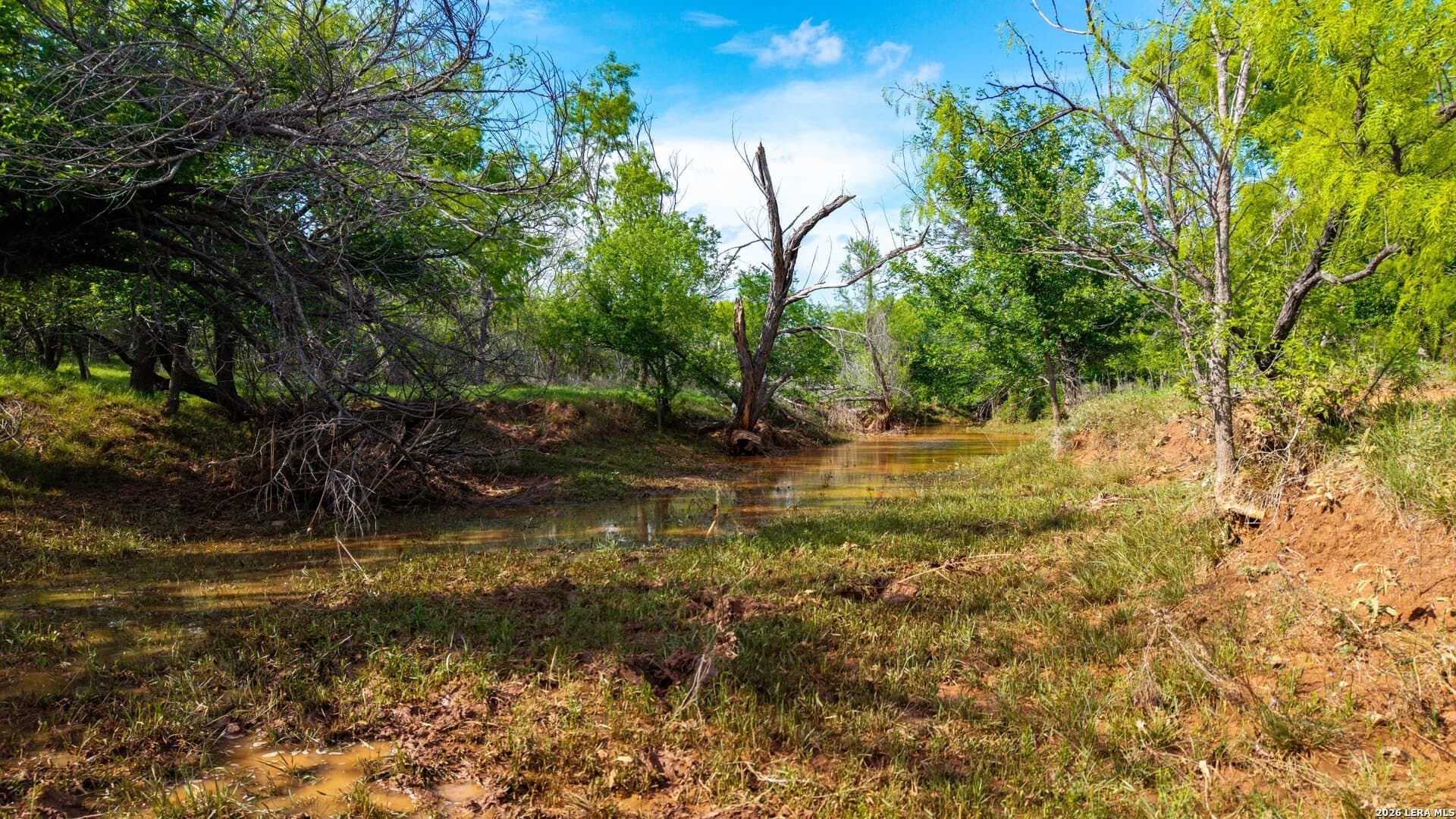 215 acres in Runnels County - photo 17
