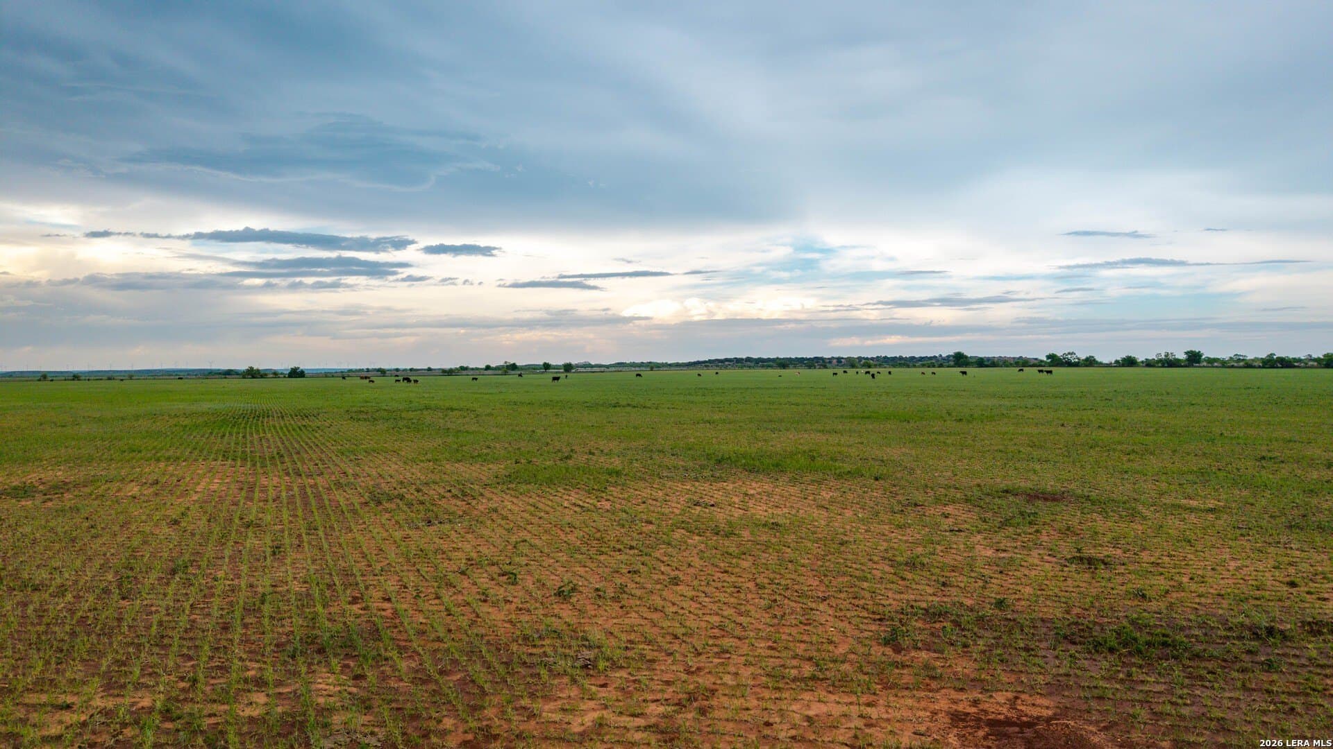 215 acres in Runnels County - photo 13