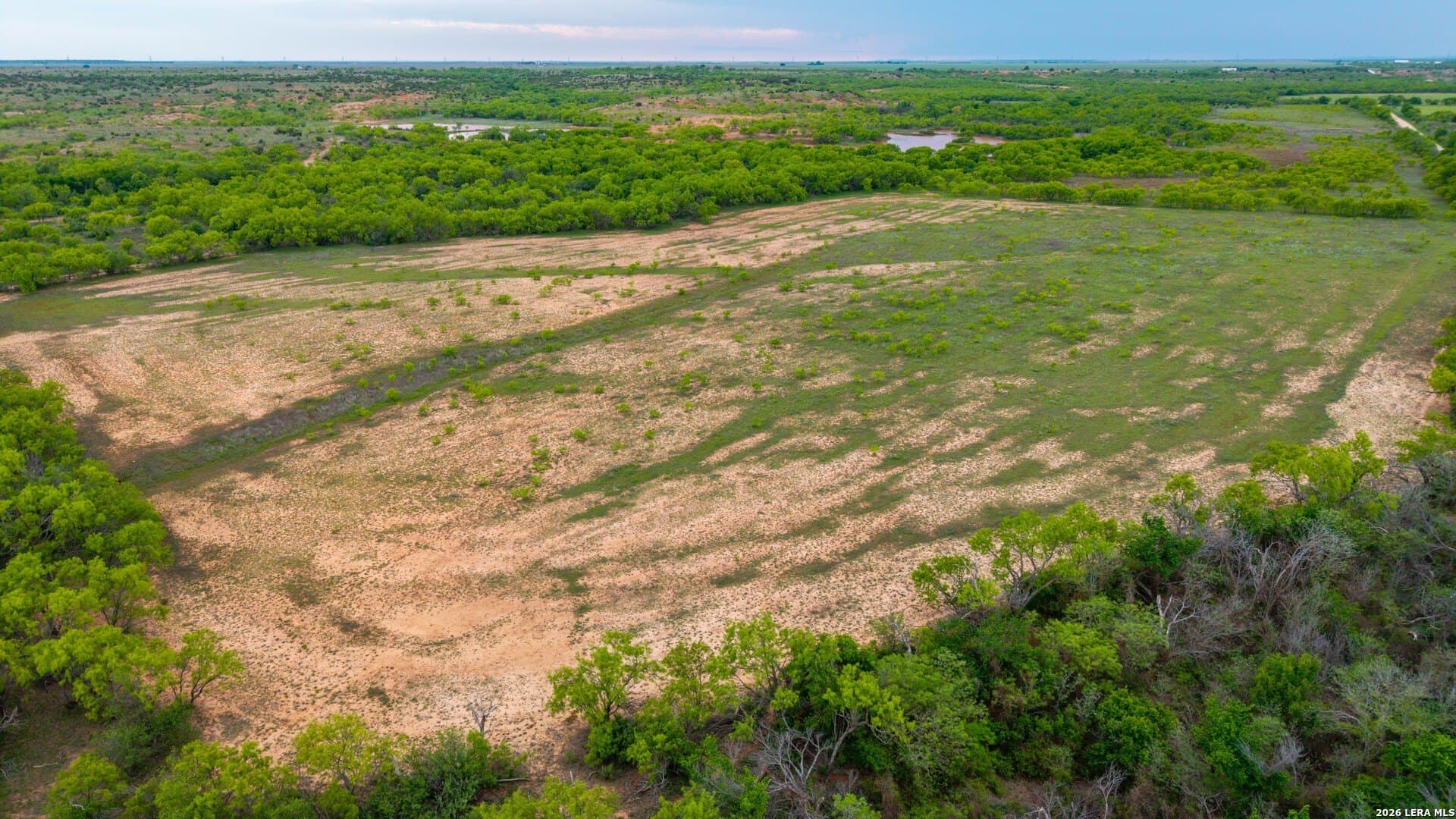 215 acres in Runnels County - photo 16