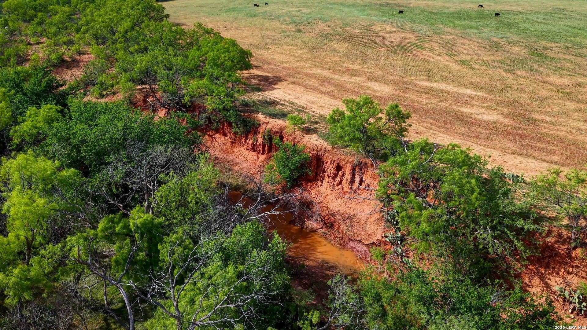 215 acres in Runnels County featured view