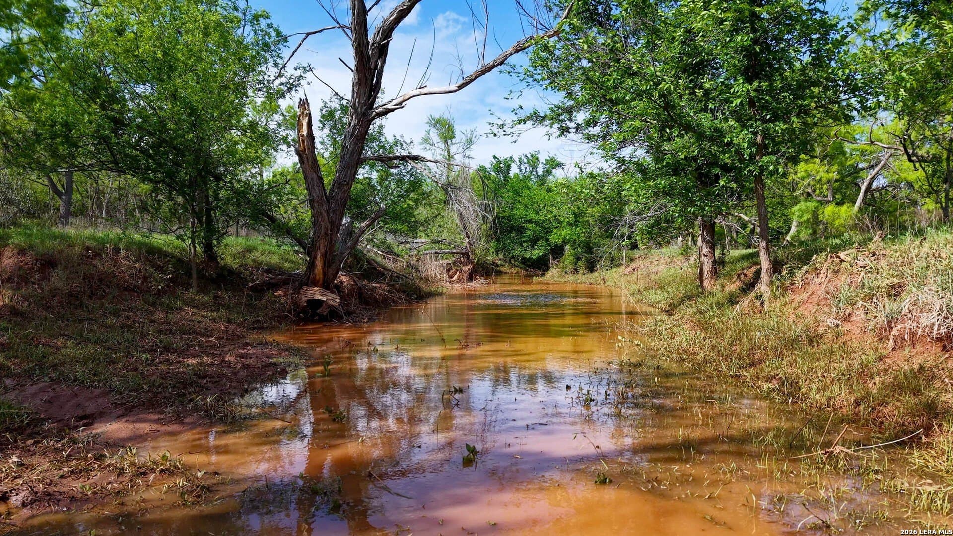 215 acres in Runnels County - photo 11