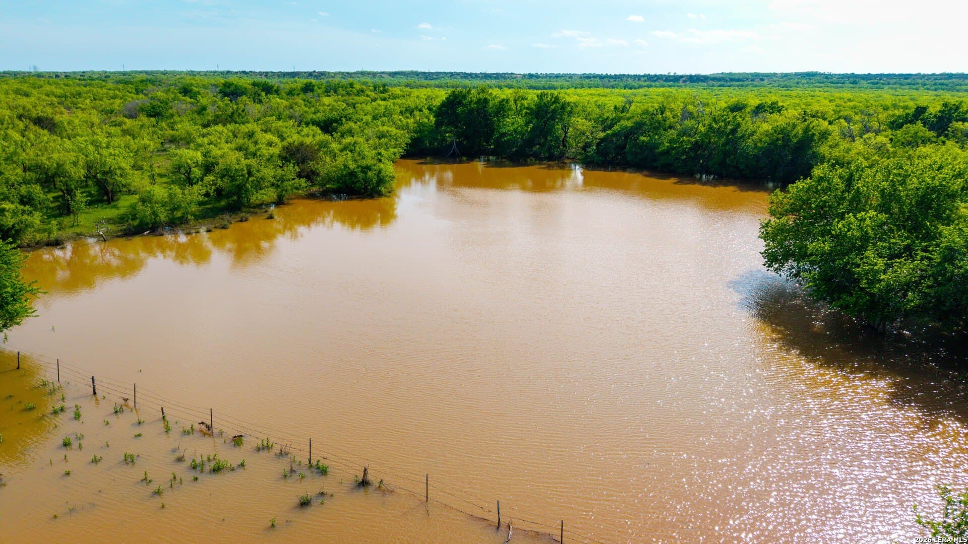 215 acres in Runnels County gallery image 3