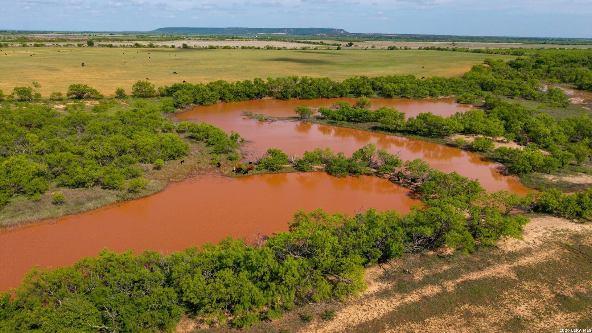 215 acres in Runnels County gallery image 4