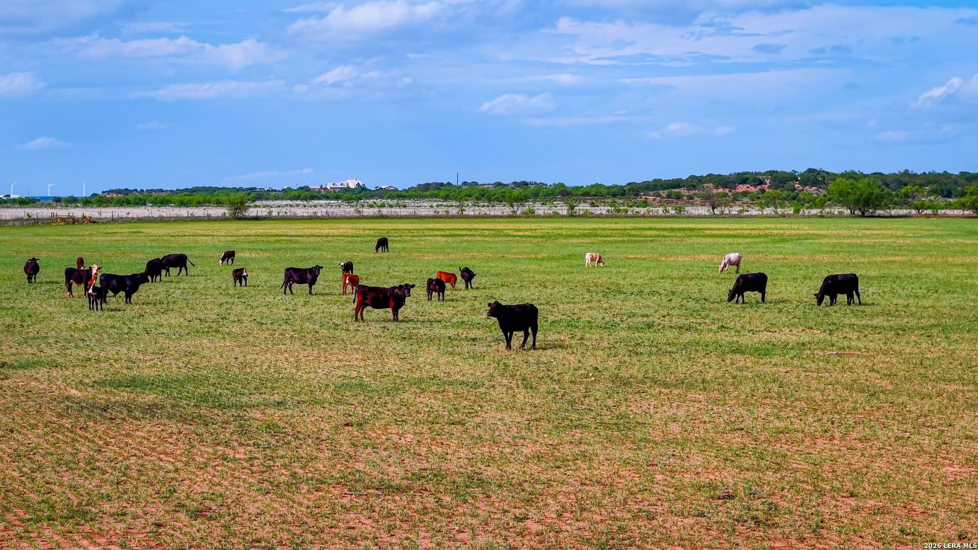 215 acres in Runnels County - photo 9