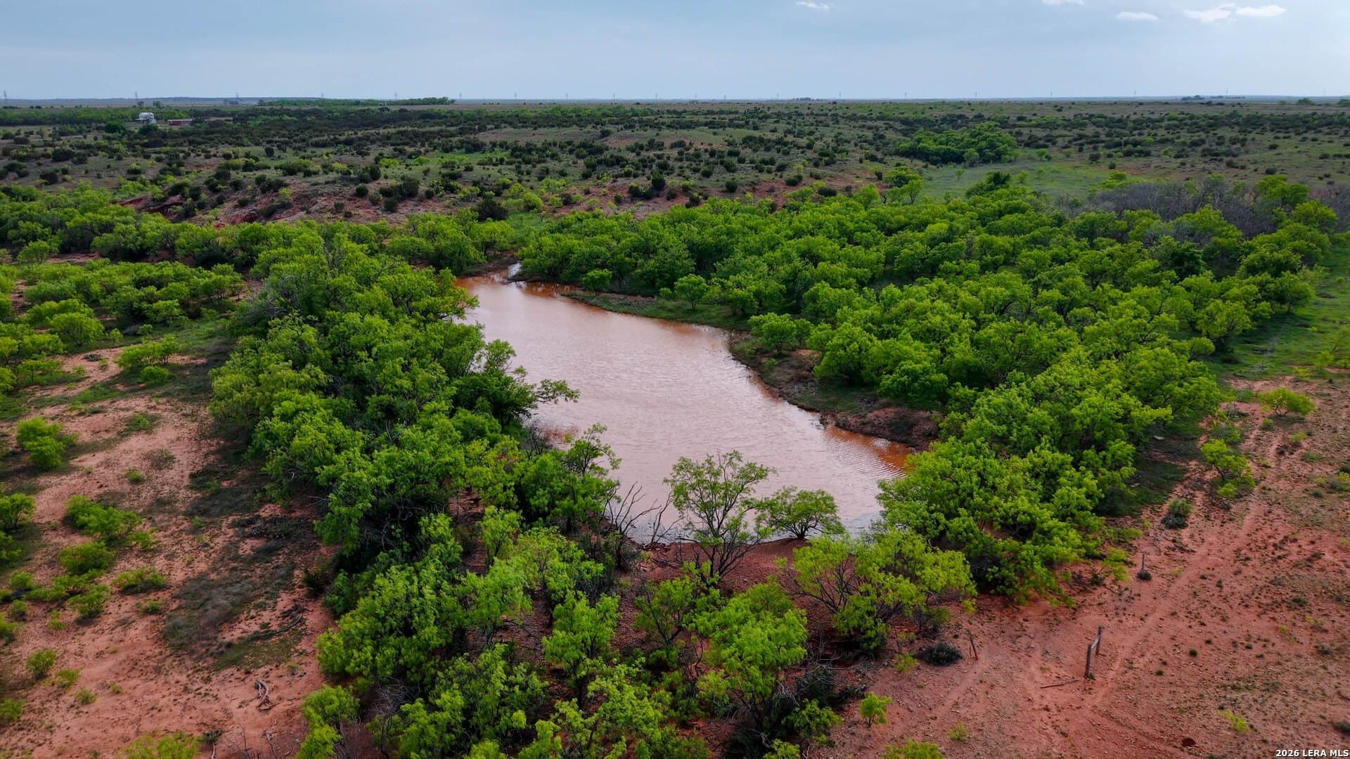 215 acres in Runnels County - photo 8