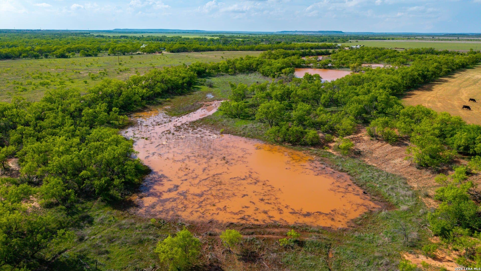 215 acres in Runnels County - photo 20