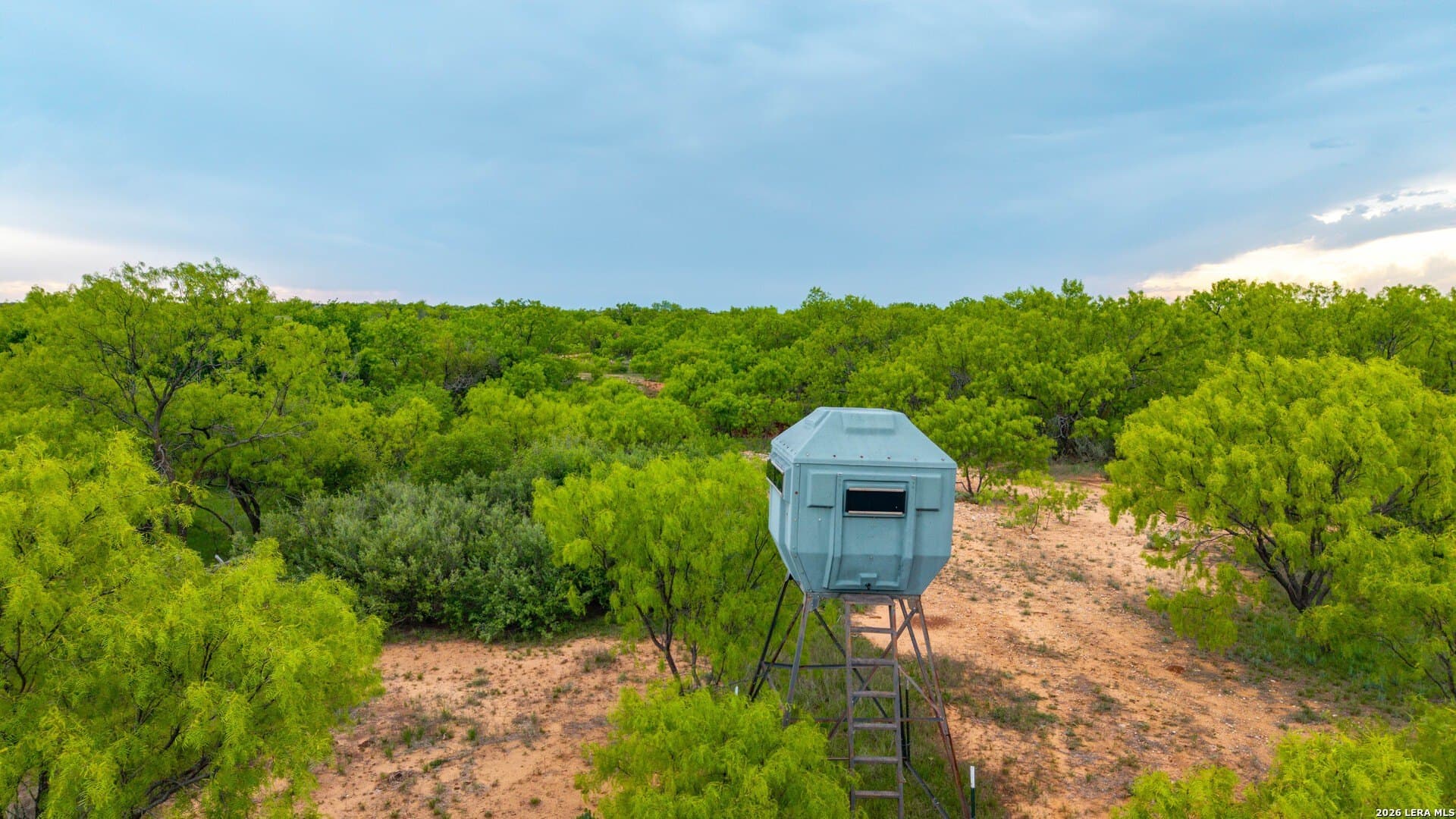 215 acres in Runnels County - photo 12