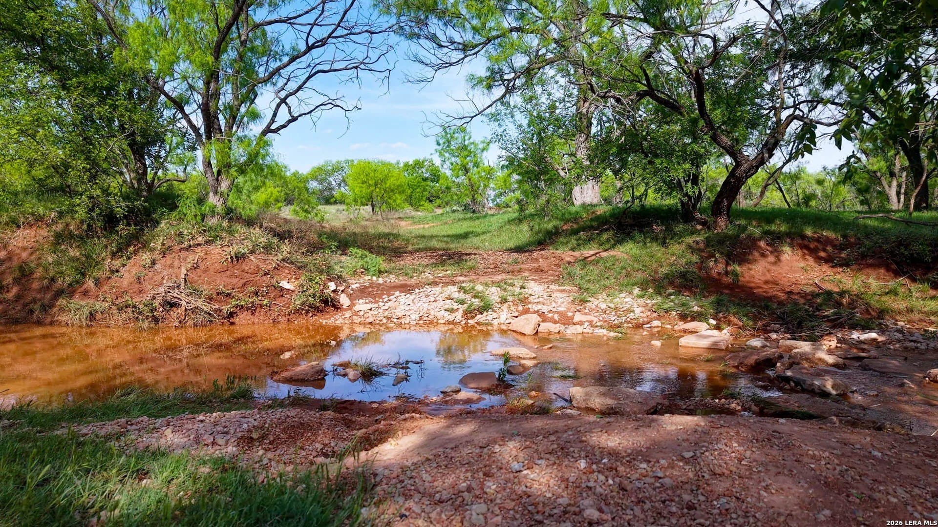 215 acres in Runnels County - photo 7