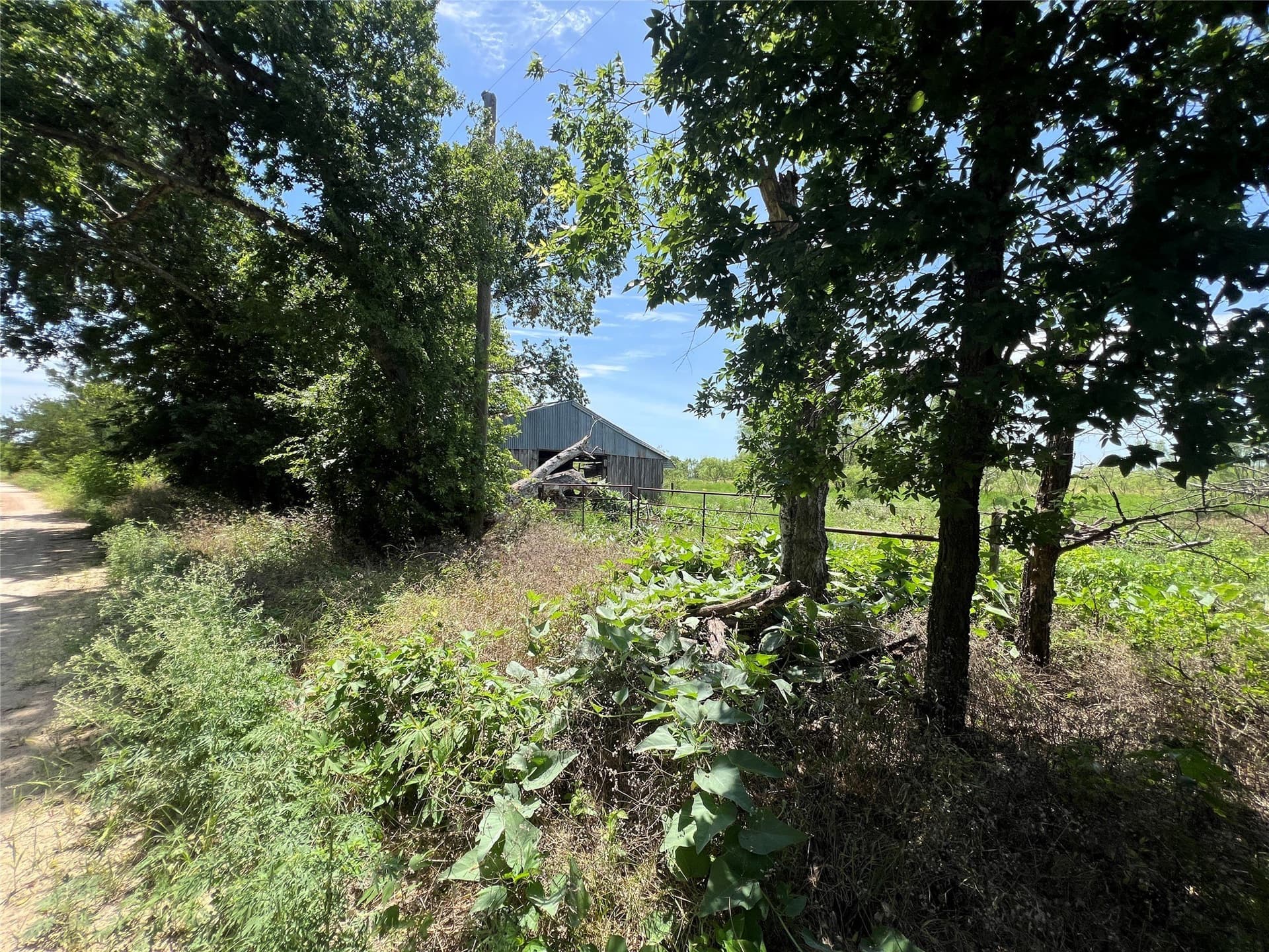4 acres in Comanche County gallery image 4