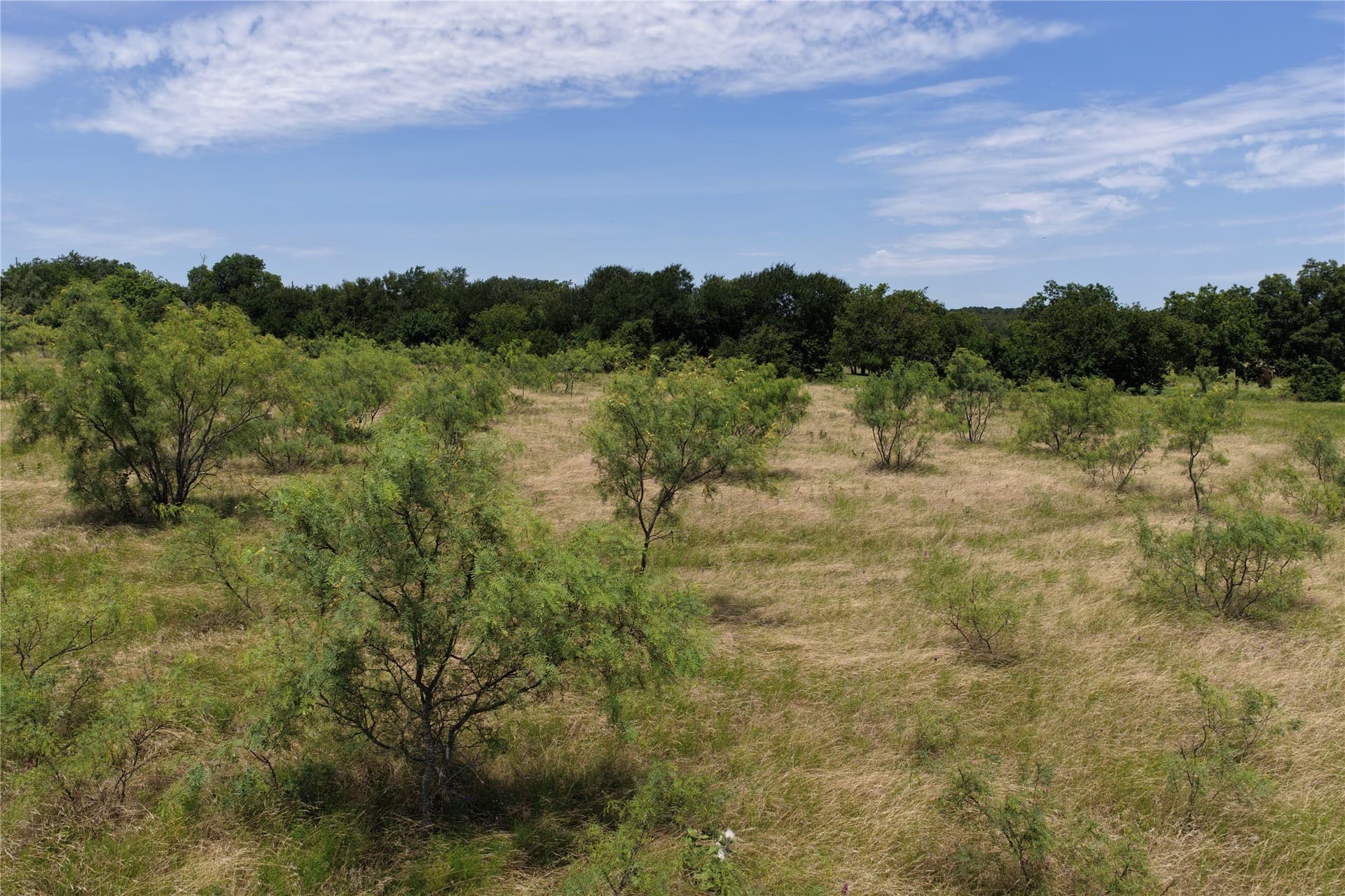 4 acres in Comanche County - photo 6