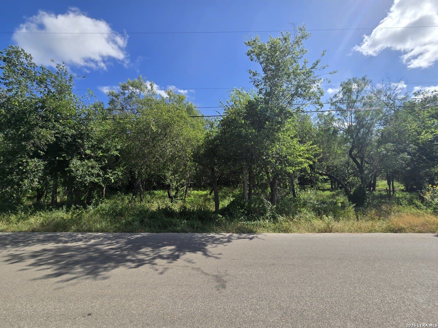 0.46 acres in Bexar County gallery image 2