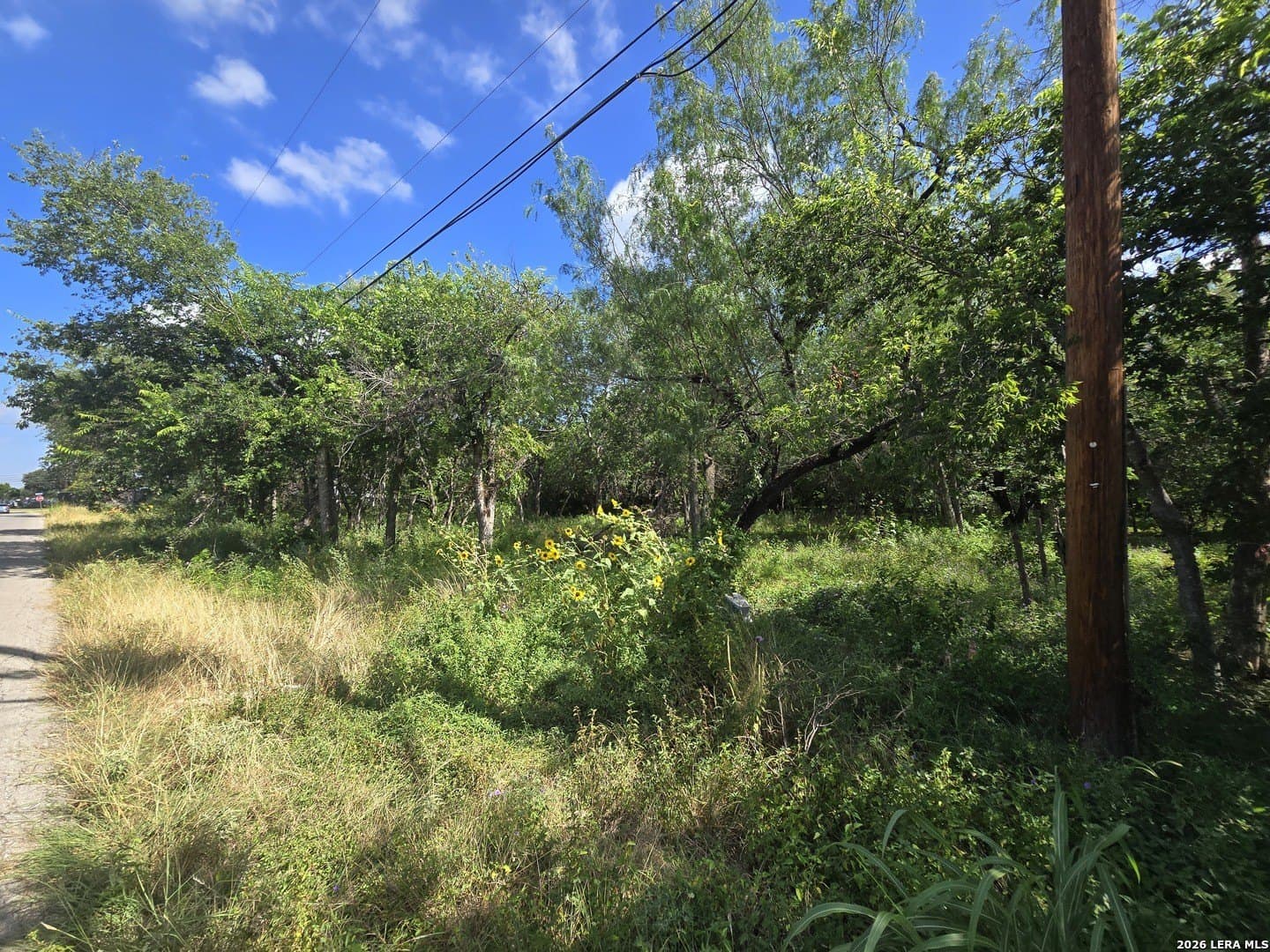 0.46 acres in Bexar County gallery image 3