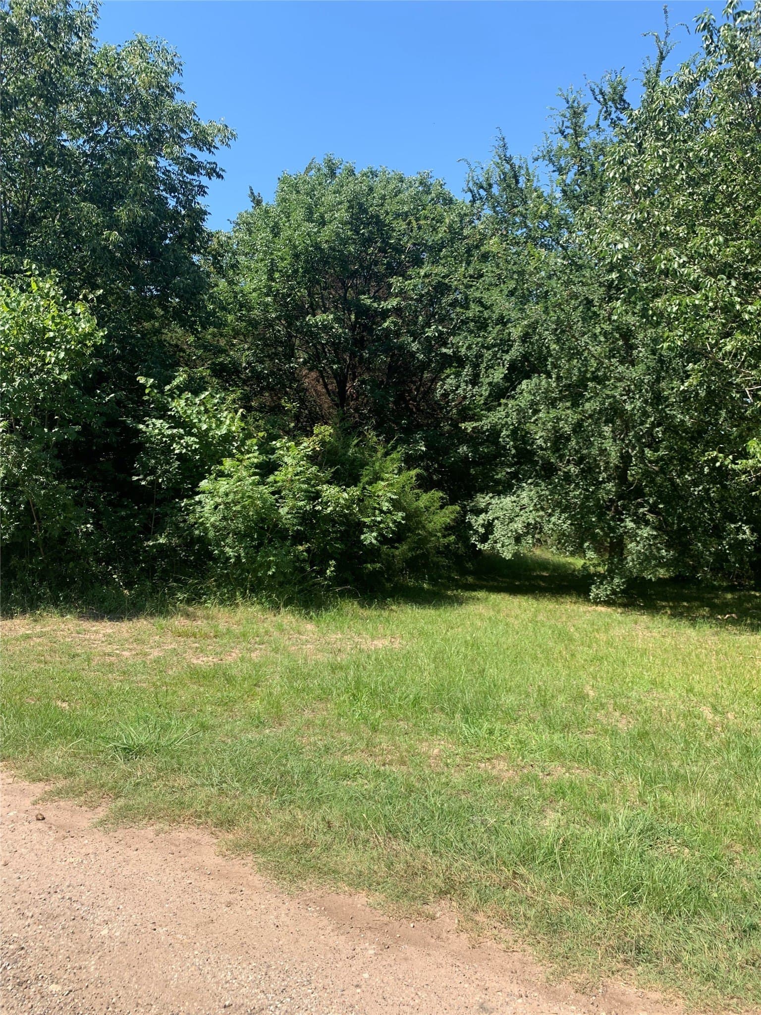 0.81 acres in Van Zandt County gallery image 3