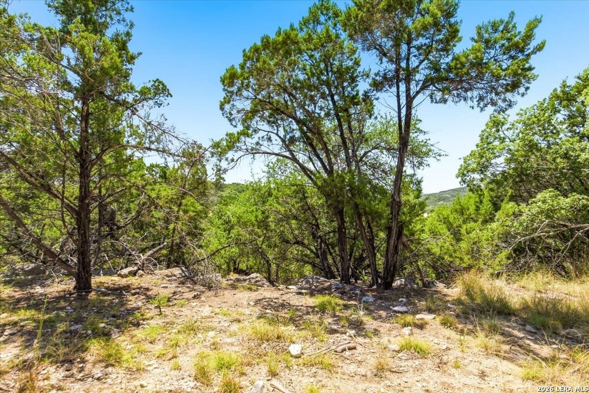 1.01 acres in Comal County - photo 28