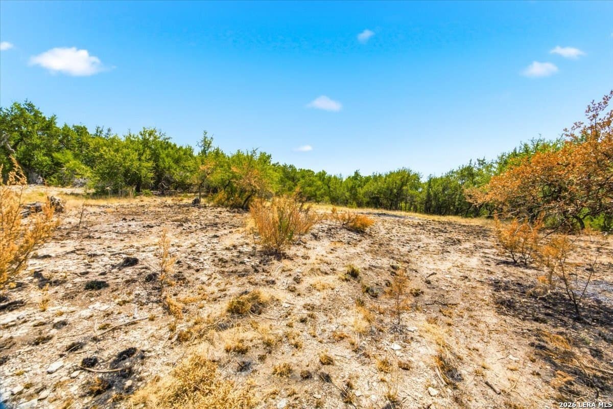 1.01 acres in Comal County - photo 26