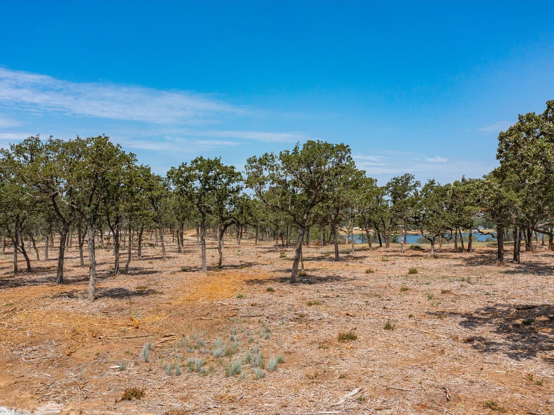 2 acres in Montague County - photo 3