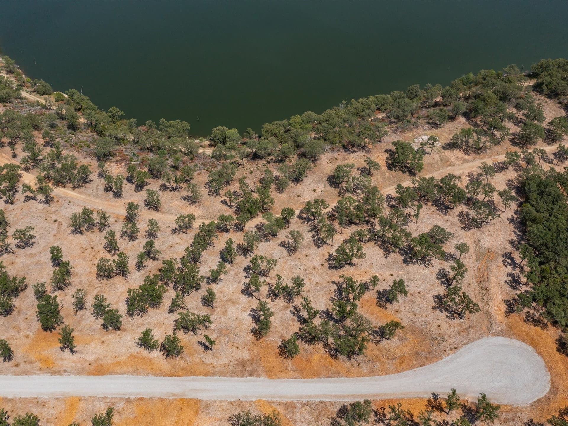 2 acres in Montague County - photo 4