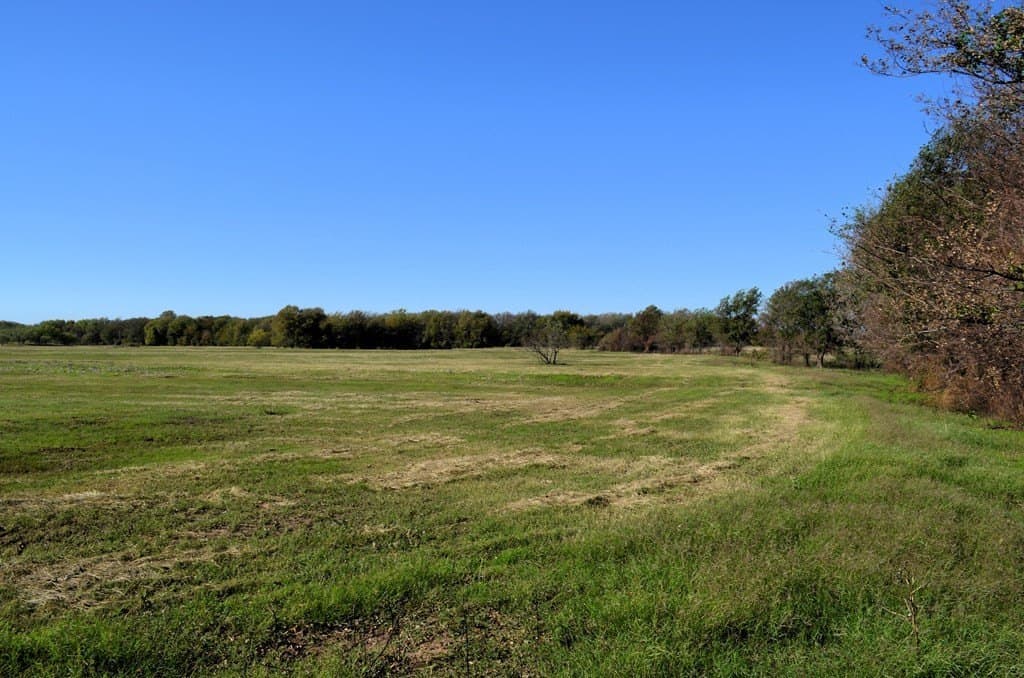 15.01 acres in Van Zandt County gallery image 2