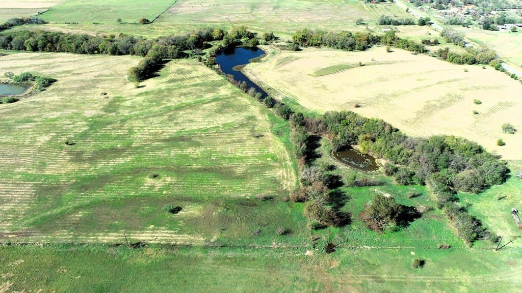 15.01 acres in Van Zandt County gallery image 3