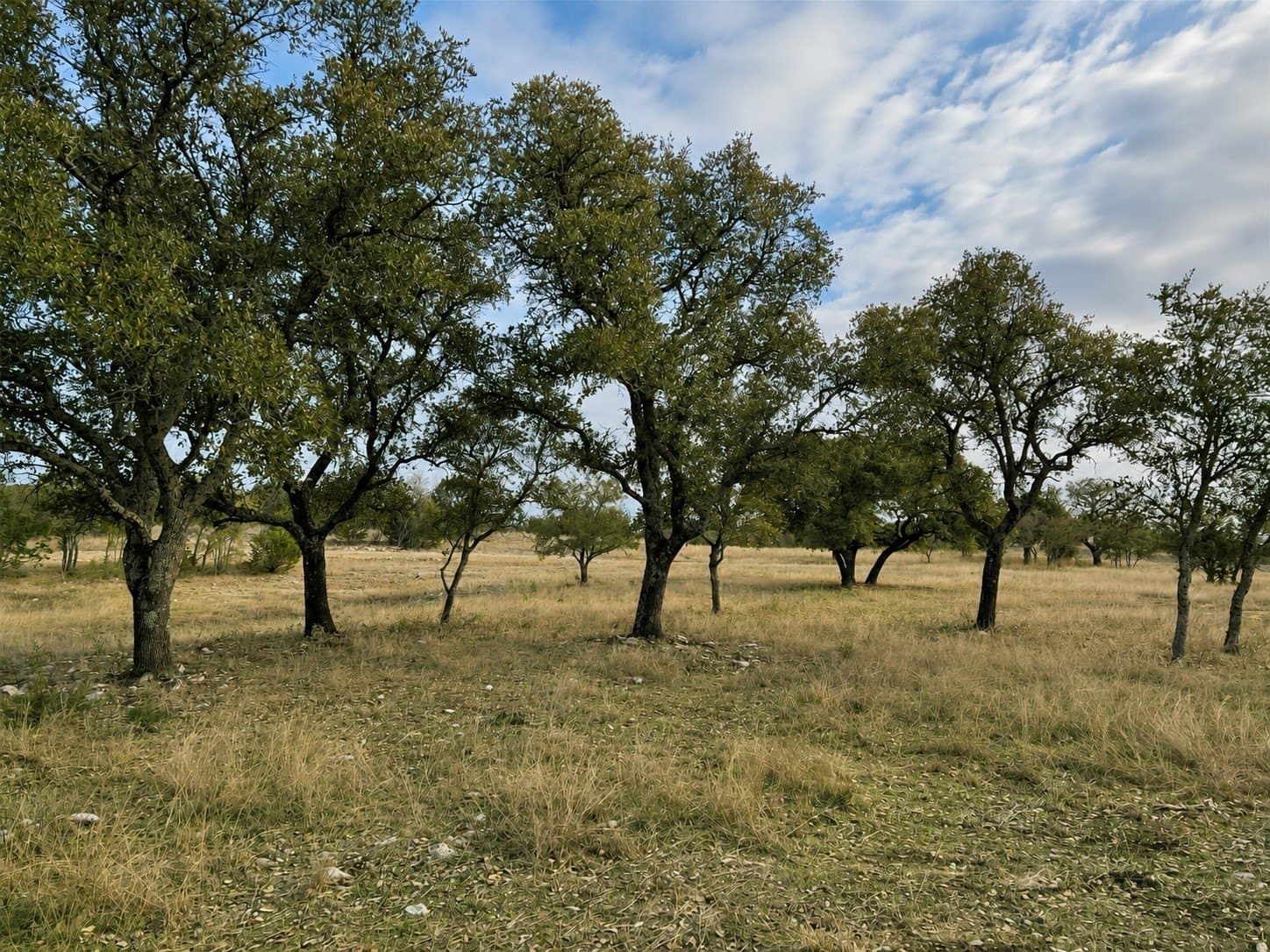 5.71 acres in Somervell County - photo 13