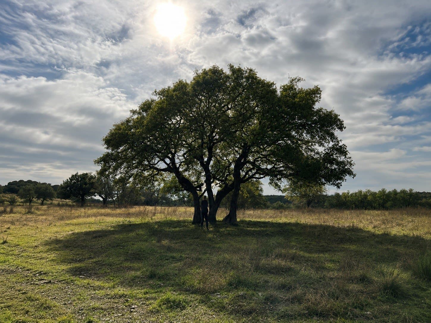 5.71 acres in Somervell County featured view
