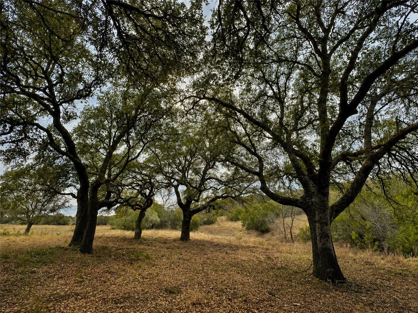 5.71 acres in Somervell County - photo 9