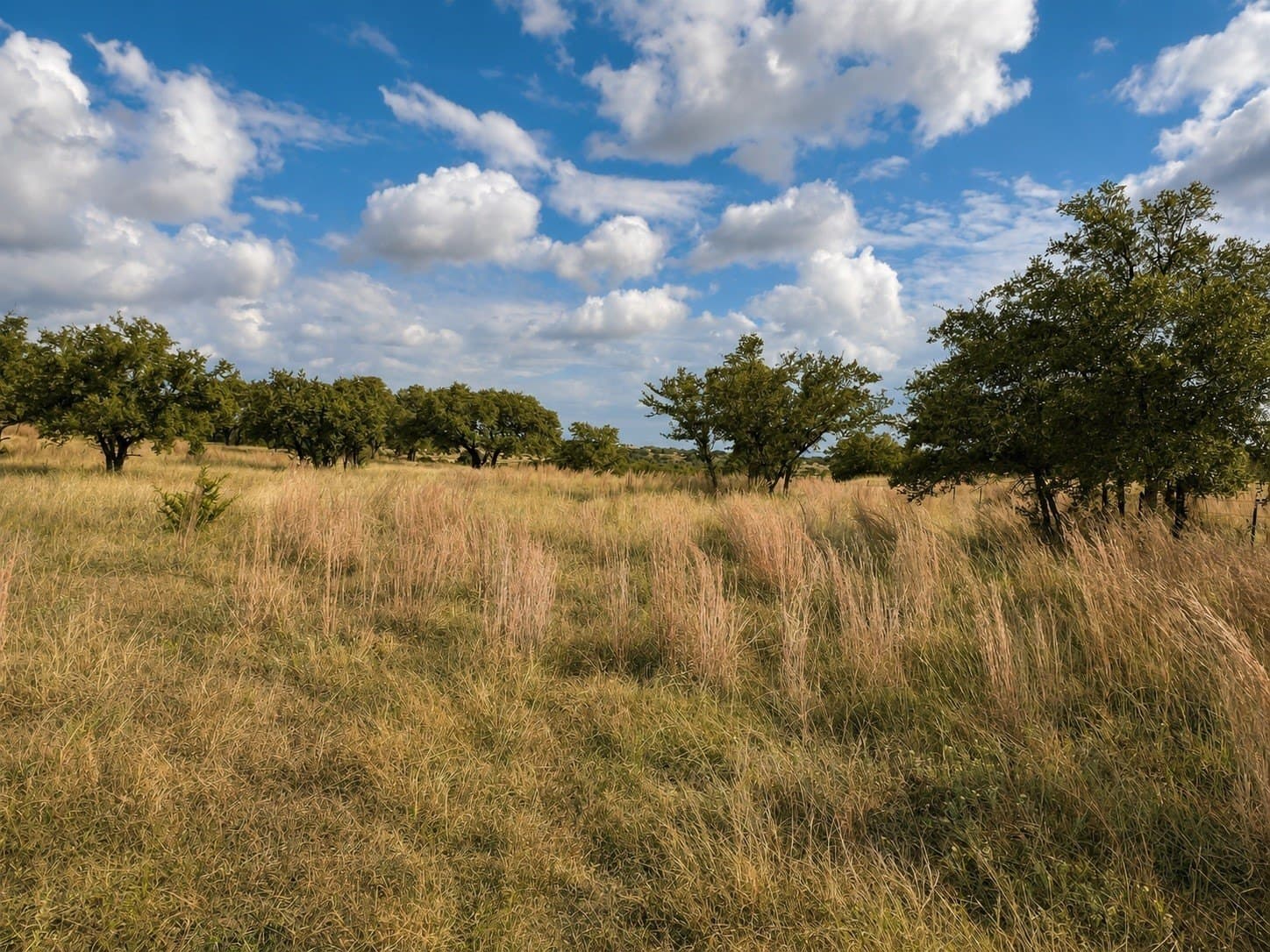 5.71 acres in Somervell County - photo 15