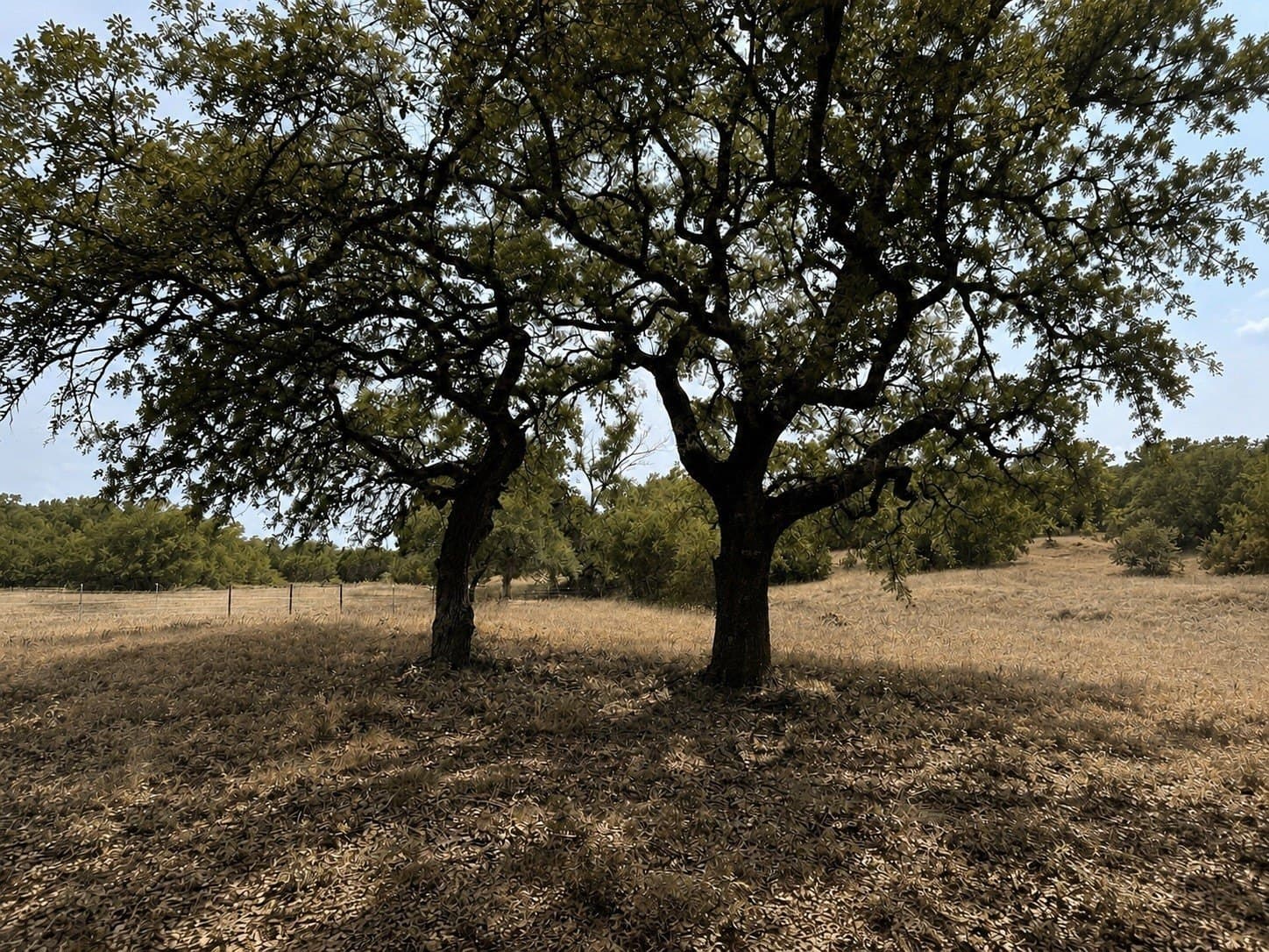 5.71 acres in Somervell County - photo 12