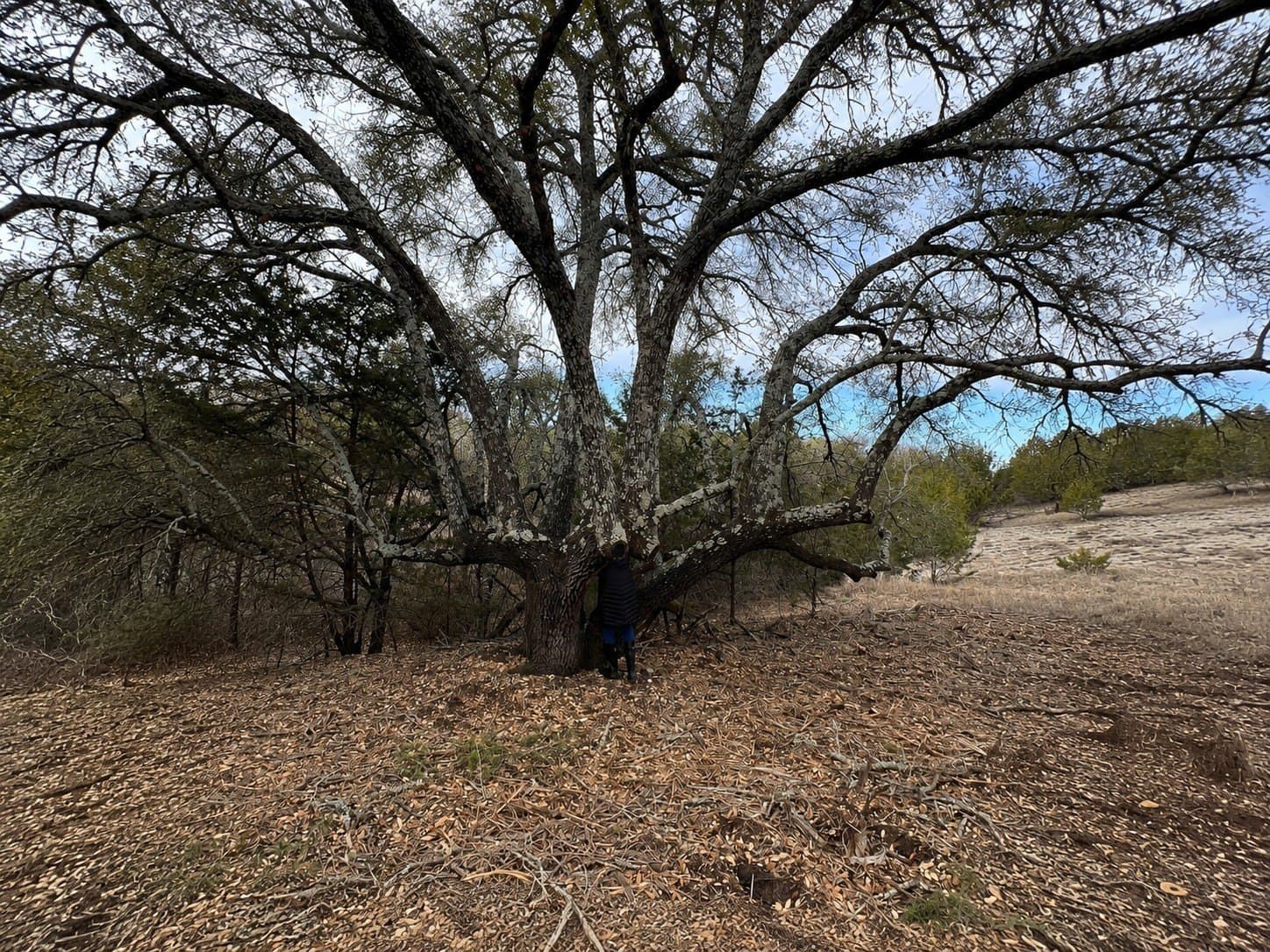5.71 acres in Somervell County - photo 8