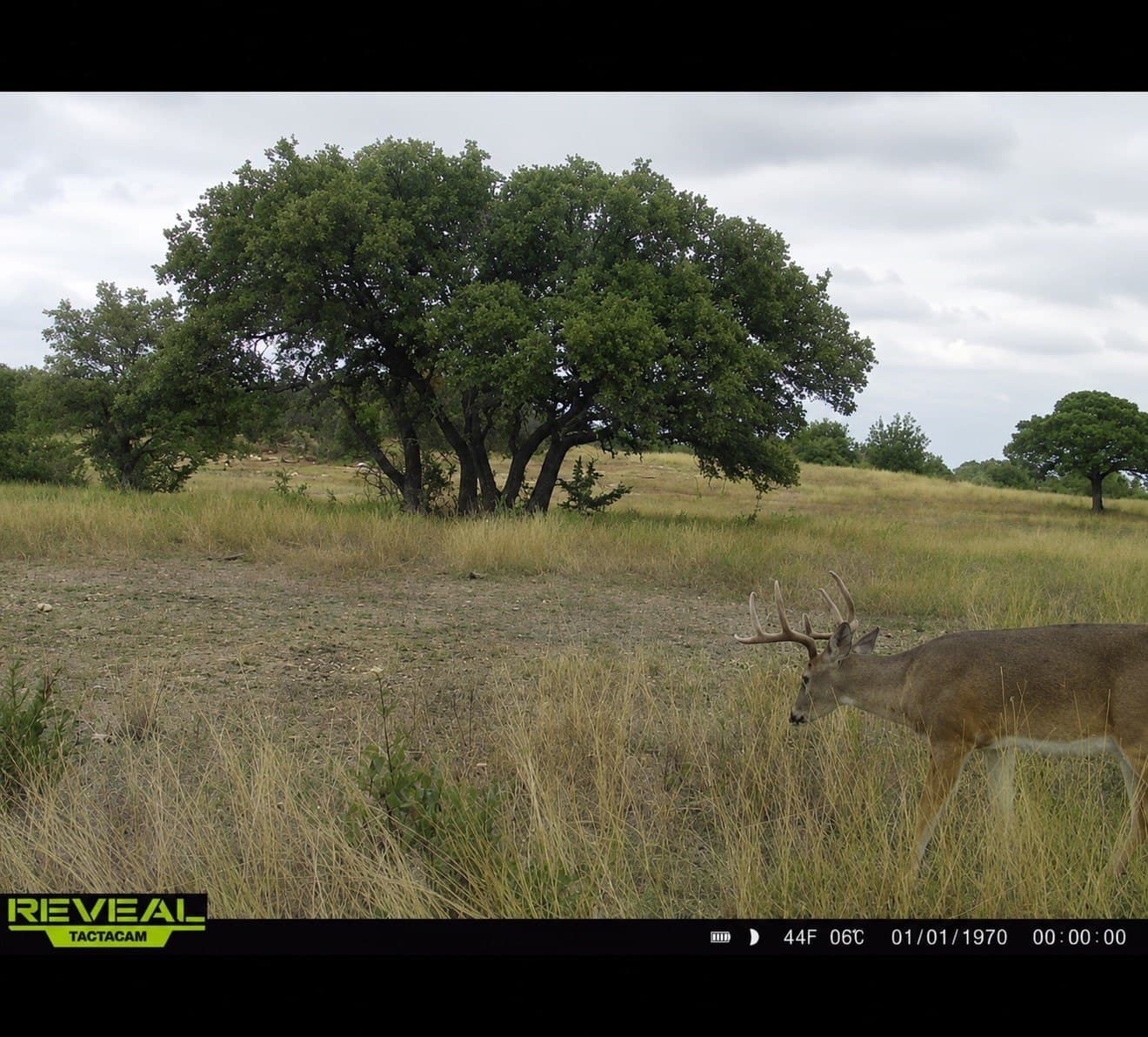 5.71 acres in Somervell County - photo 6