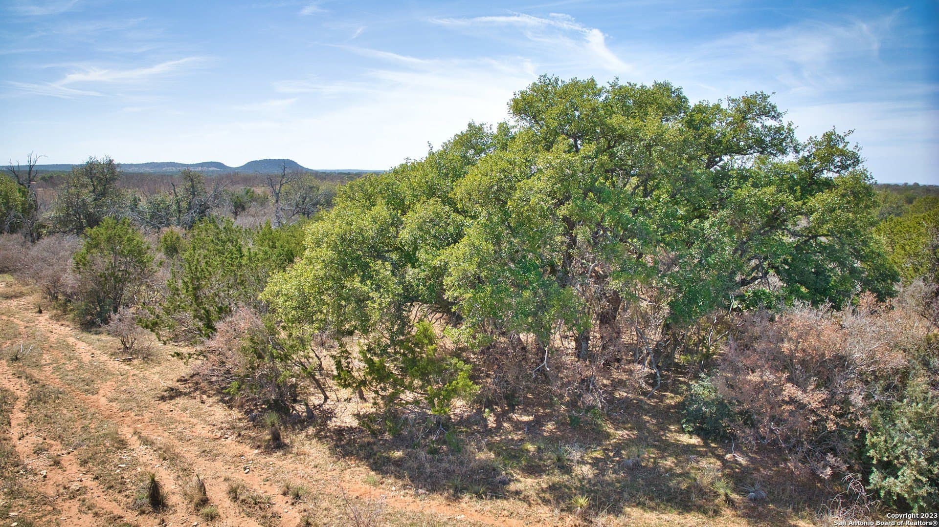 541.04 acres in Mason Co County - photo 36