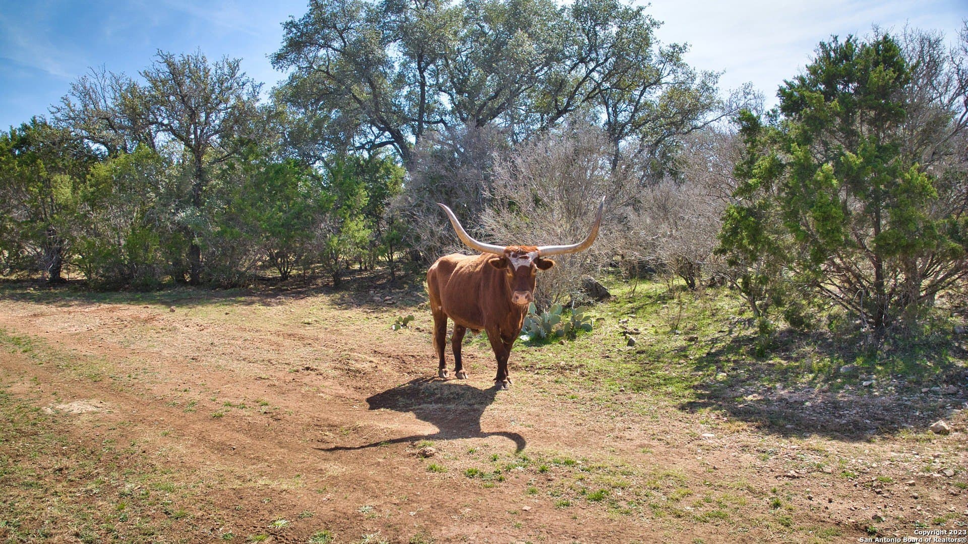 541.04 acres in Mason Co County - photo 35
