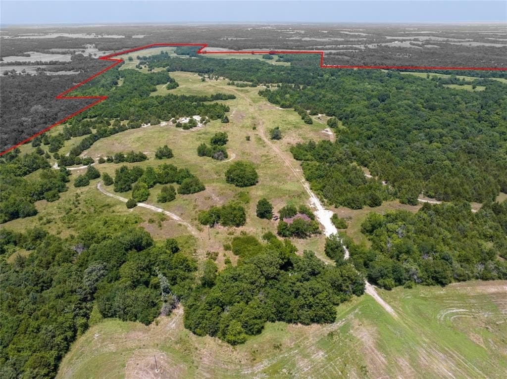 558.72 acres in Fannin County gallery image 3