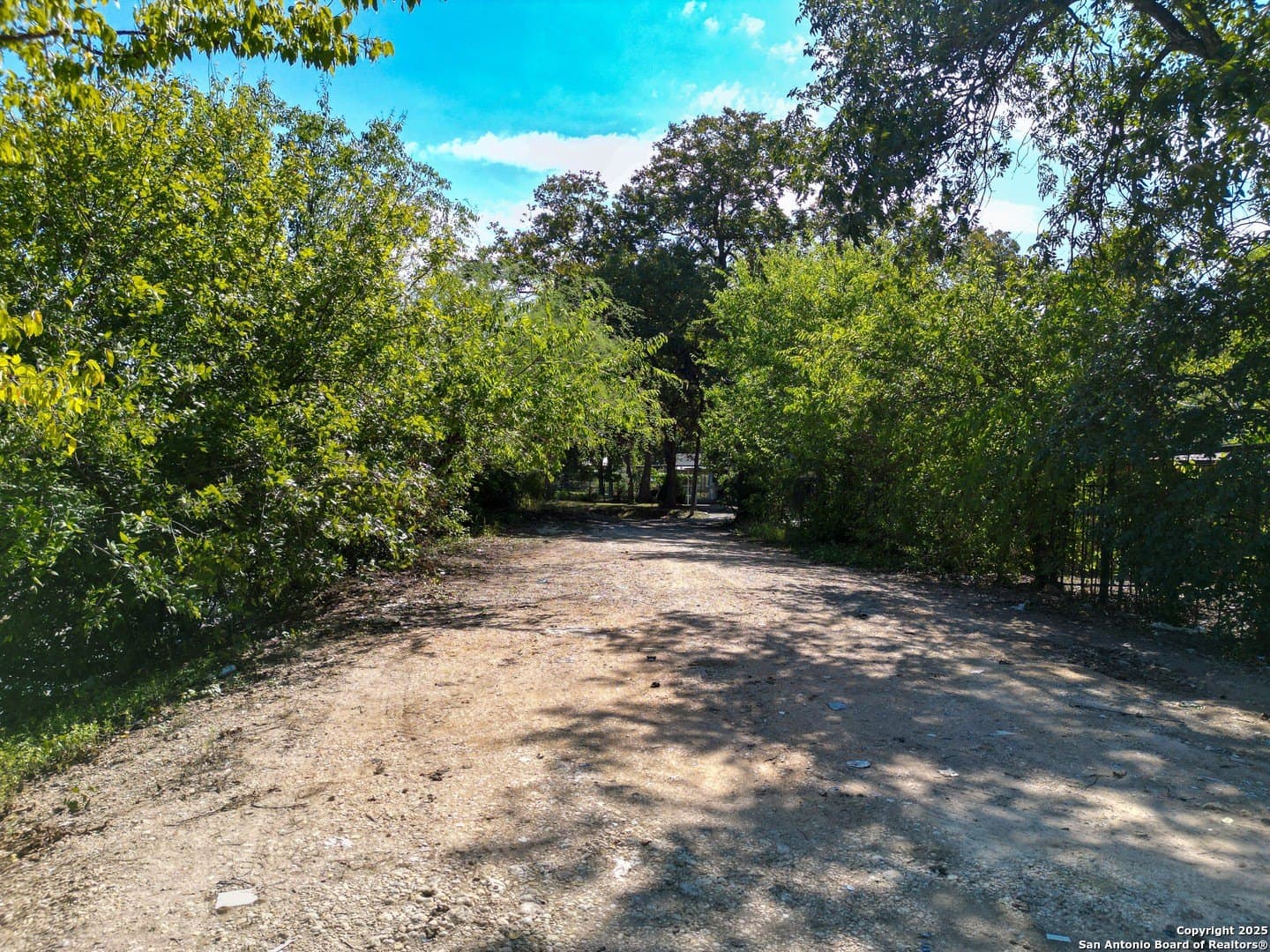 0.54 acres in Bexar County - photo 9